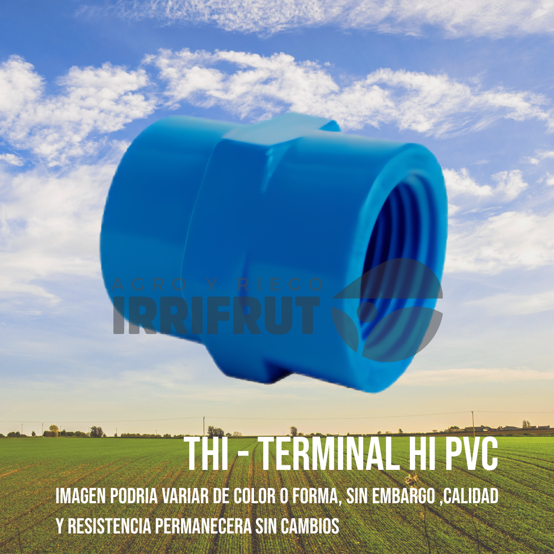 Terminal Hilo Interior (THI)