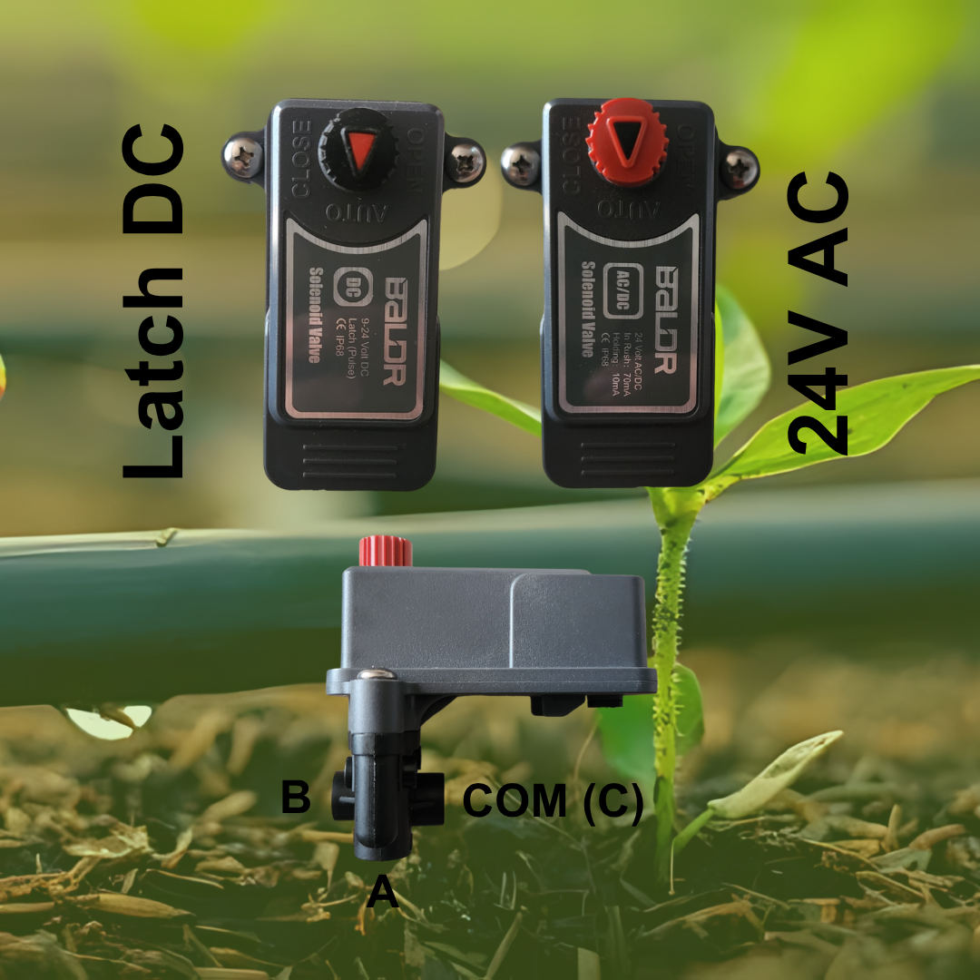 Solenoides Plus