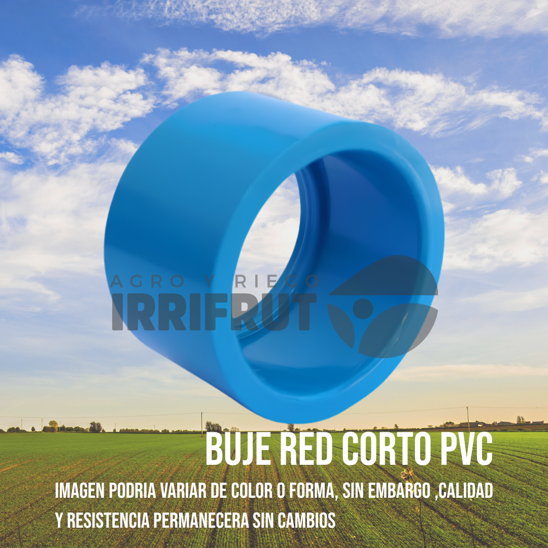 Buje Corto
